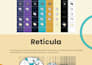 do branding, visual identity, and content creation